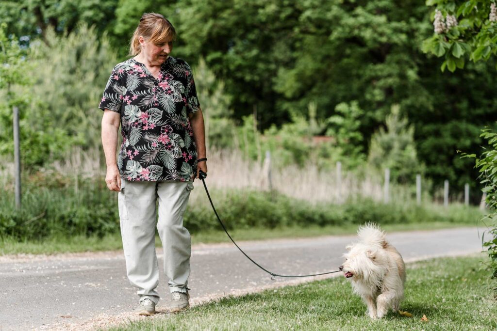 Übungssituation bei der Hundeschule Holt