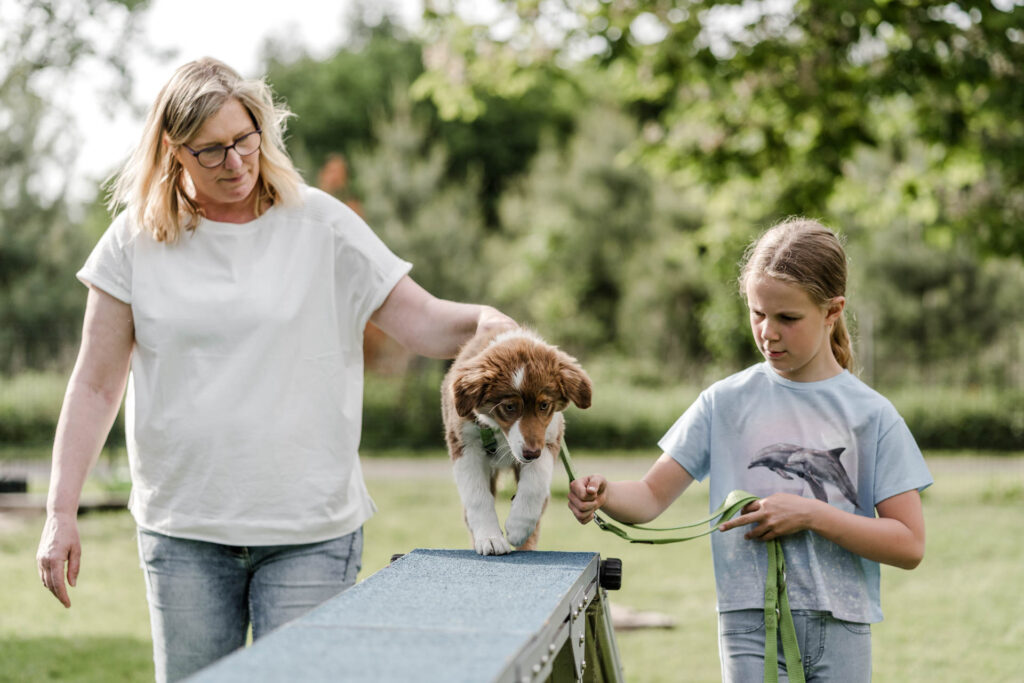 Welpentraining in der Hundeschule Holt angeleitet durch Klaudia Holt