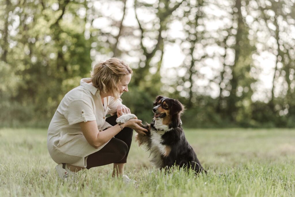 Hundetraining Hundezentrum Holt