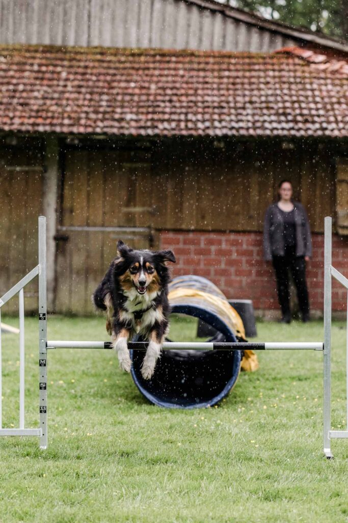 Hund und Halterin beim Agility Training Hundeschule Holt